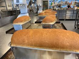 Tortor neque adpiscing diam